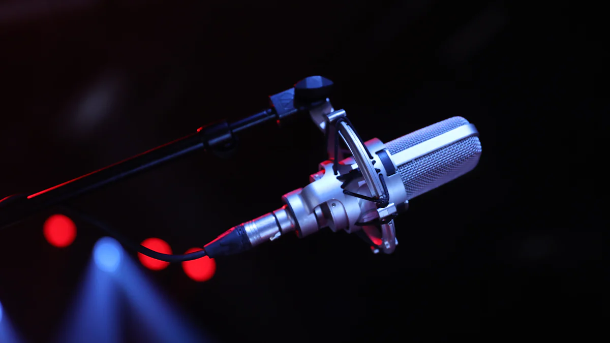 2025 年現場演出最佳麥克風線